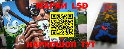 гидропоника Сланцы