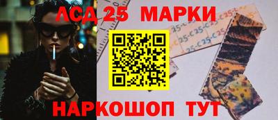 гидропоника Сланцы