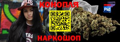 гидропоника Сланцы