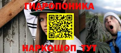 прущая мука Славгород