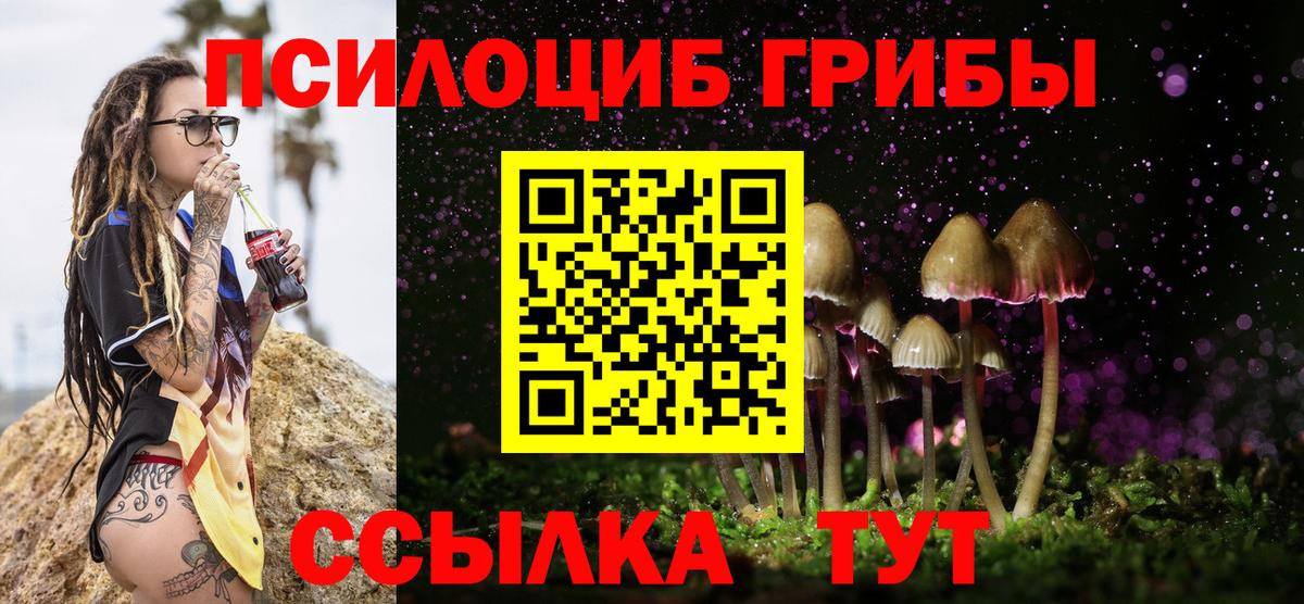 Галлюциногенные грибы Magic Shrooms Новозыбков