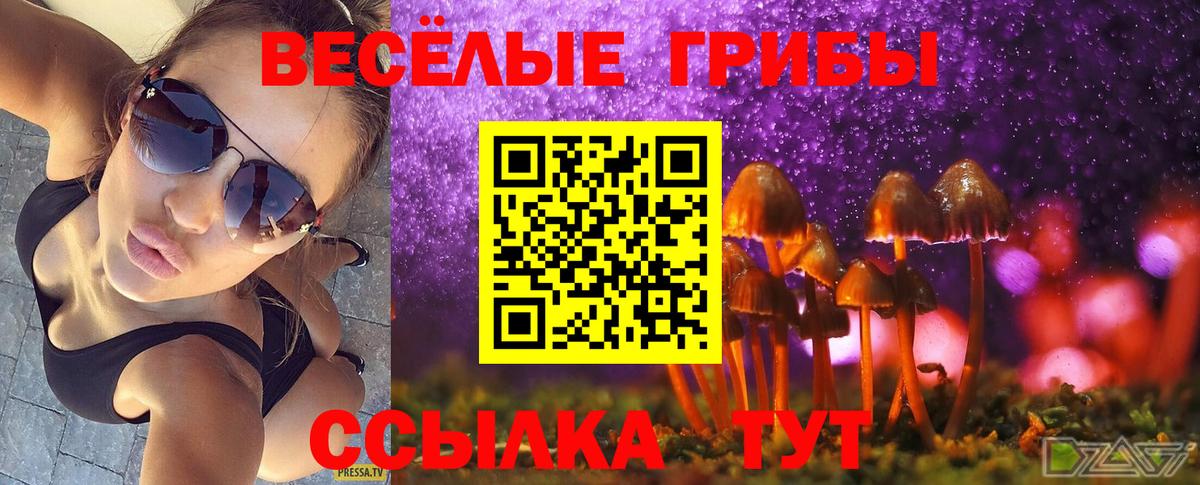 Новозыбков  Галлюциногенные грибы GOLDEN TEACHER  Вход с VPN 